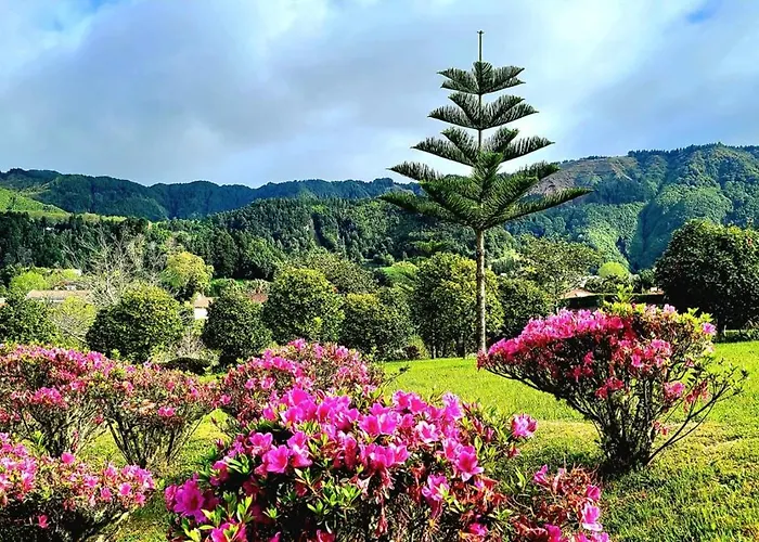 Apartment Penthouse *