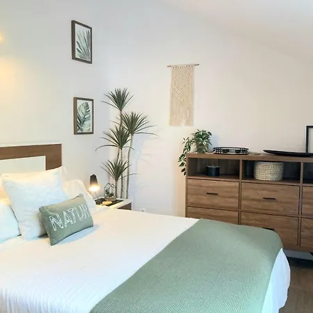 Apartment Penthouse Furnas *