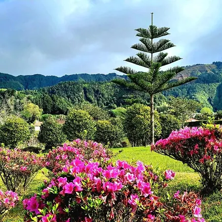 Apartamento Penthouse Furnas *